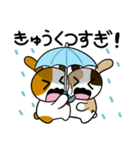 みけうさと梅雨（個別スタンプ：9）