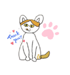 地域猫きらちゃん（個別スタンプ：1）