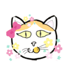地域猫きらちゃん（個別スタンプ：4）