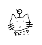Emotion cat 感情表現する猫（個別スタンプ：9）