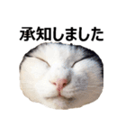 もぎちゃんスタンプ（個別スタンプ：6）