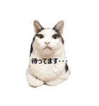 もぎちゃんスタンプ（個別スタンプ：17）