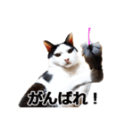 もぎちゃんスタンプ（個別スタンプ：18）