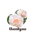Thanks Roses（個別スタンプ：2）