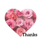 Thanks Roses（個別スタンプ：7）