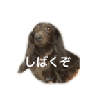 ケーティー（個別スタンプ：1）