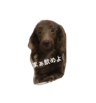 ケーティー（個別スタンプ：3）