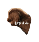 ケーティー（個別スタンプ：7）