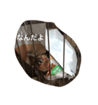 ケーティー（個別スタンプ：9）