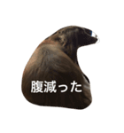 ケーティー（個別スタンプ：10）