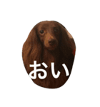 ケーティー（個別スタンプ：12）