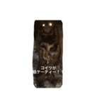 ケーティー（個別スタンプ：14）