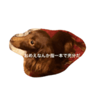ケーティー（個別スタンプ：16）