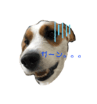 テンててん☆2（個別スタンプ：8）