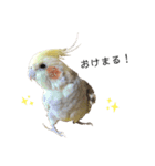 オカメのほっぺちゃん2（個別スタンプ：3）