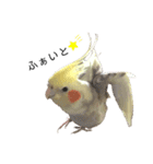 オカメのほっぺちゃん2（個別スタンプ：4）