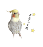 オカメのほっぺちゃん2（個別スタンプ：9）