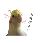 オカメのほっぺちゃん2（個別スタンプ：22）
