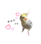 オカメのほっぺちゃん2（個別スタンプ：23）