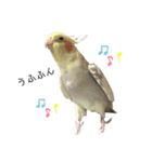 オカメのほっぺちゃん2（個別スタンプ：25）