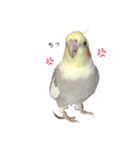オカメのほっぺちゃん2（個別スタンプ：32）