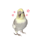 オカメのほっぺちゃん2（個別スタンプ：33）
