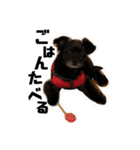 たろうの日常4（個別スタンプ：4）