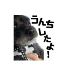たろうの日常4（個別スタンプ：6）
