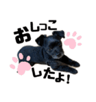 たろうの日常4（個別スタンプ：7）
