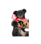 たろうの日常4（個別スタンプ：9）
