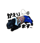 たろうの日常4（個別スタンプ：23）