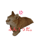 ツンデレ皇帝みるく様(庶民使い編)（個別スタンプ：2）
