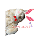 ツンデレ皇帝みるく様(庶民使い編)（個別スタンプ：4）