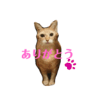 ツンデレ皇帝みるく様(庶民使い編)（個別スタンプ：9）