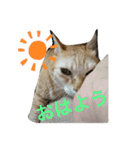 ツンデレ皇帝みるく様(庶民使い編)（個別スタンプ：14）