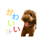 ABBEYだよ（個別スタンプ：3）