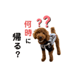 ABBEYだよ（個別スタンプ：6）