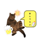むた家スタンプ（個別スタンプ：2）