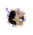 むた家スタンプ（個別スタンプ：6）
