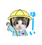むた家スタンプ（個別スタンプ：8）