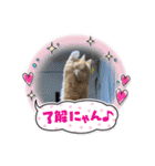 むた家スタンプ（個別スタンプ：11）