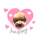 Diddy the dog（個別スタンプ：26）