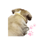 私はミミだよ。٩(˃̶͈̀௰˂̶͈́)و（個別スタンプ：3）