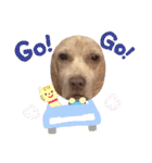 私はミミだよ。٩(˃̶͈̀௰˂̶͈́)و（個別スタンプ：8）