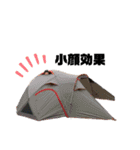 I'm CAMP.（個別スタンプ：15）