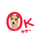 関西ジャック Part3（個別スタンプ：2）
