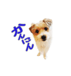 関西ジャック Part3（個別スタンプ：9）