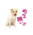 関西ジャック Part3（個別スタンプ：13）