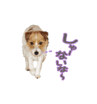 関西ジャック Part3（個別スタンプ：24）