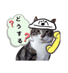 ぶちこと愉快な仲間達（個別スタンプ：3）